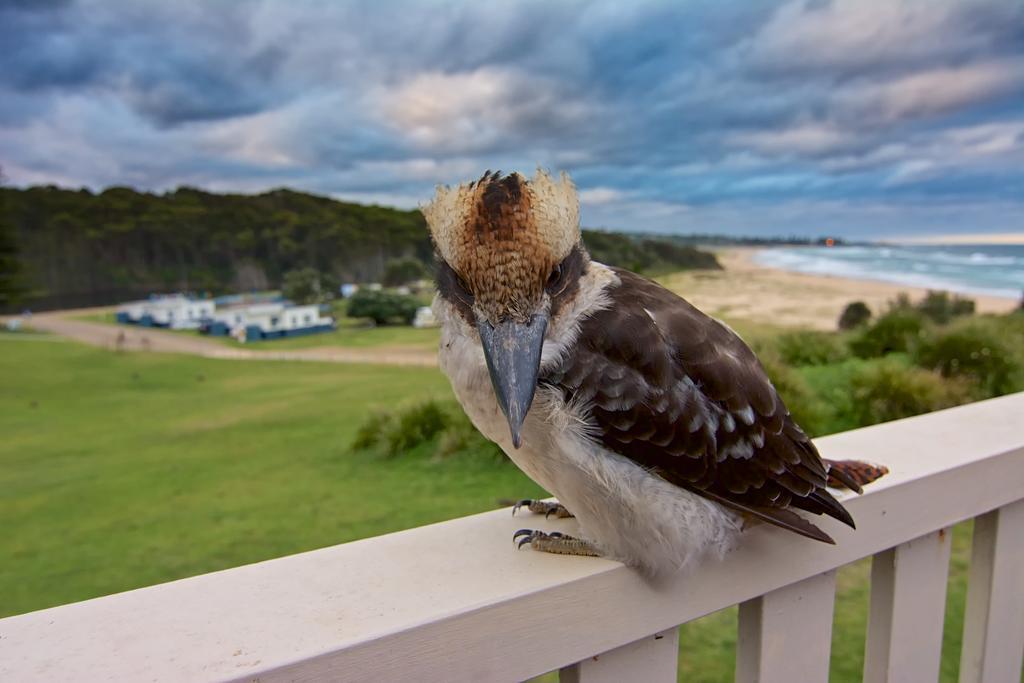 Beachcomber Holiday Park Potato Point Exteriér fotografie
